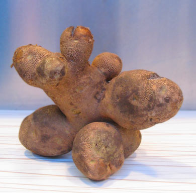 PotatoHead-707252.jpg